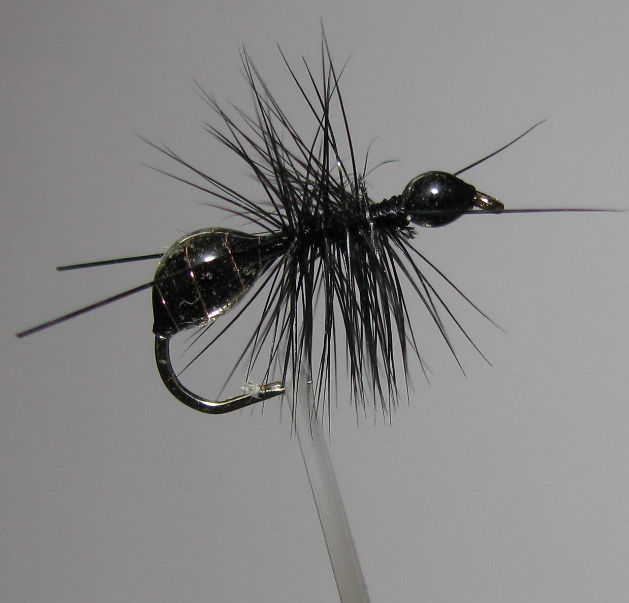 ���� Ant flies ������� ANT 02 (Black  EPOXY) Kumho dry � 12